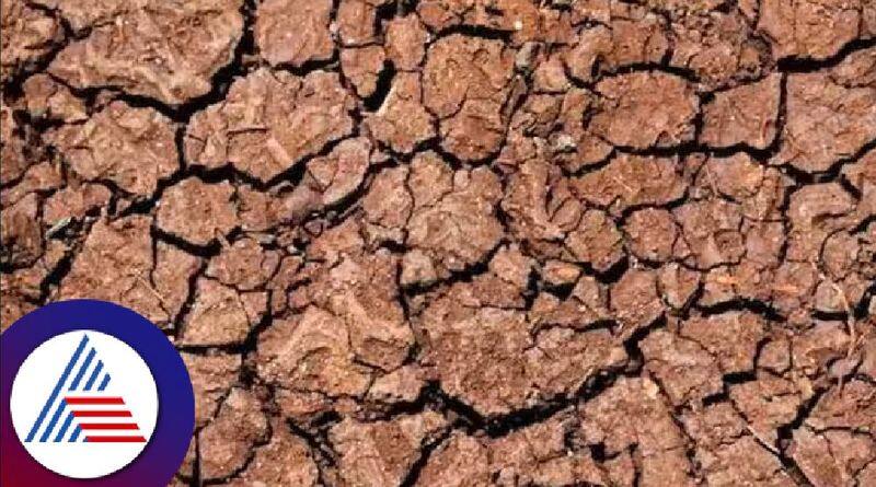 Surapura Taluk in Fear of Drought in Yadgir grg