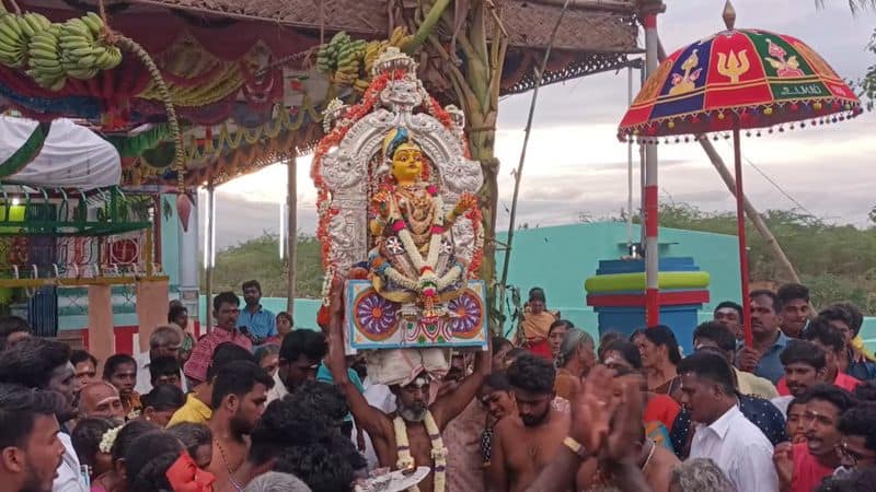 A century-old traditional cow galloping event; Thousands of devotees participated dindigul district