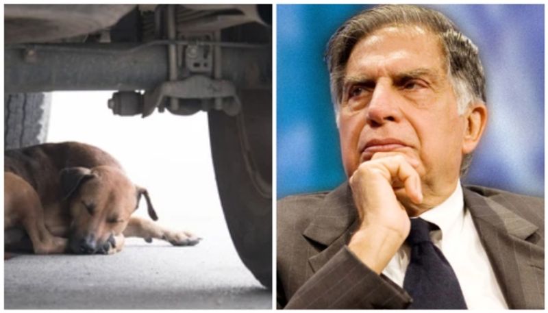 Those who drive during the rainy season should be aware of this; Ratan Tata with request-sak