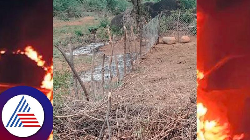 farmers harassment by forest depertment at hanuru at chamarajanagar rav