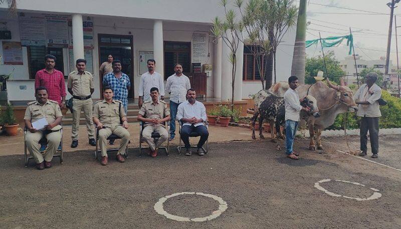 Three Arrested For who Theft Ox and Cow at Humnabad in Bidar grg