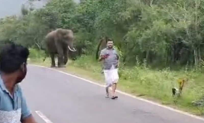 tourist fined for taking selfie in front of wild elephants in chamarajanagar gvd