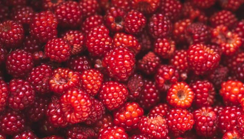 Reasons Why Consuming Raspberries Is Beneficial For You azn 