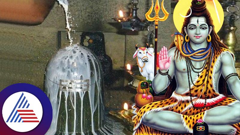 maha shivratri 2024 how to do rudrabhishek puja at home and its benefits in tamil mks