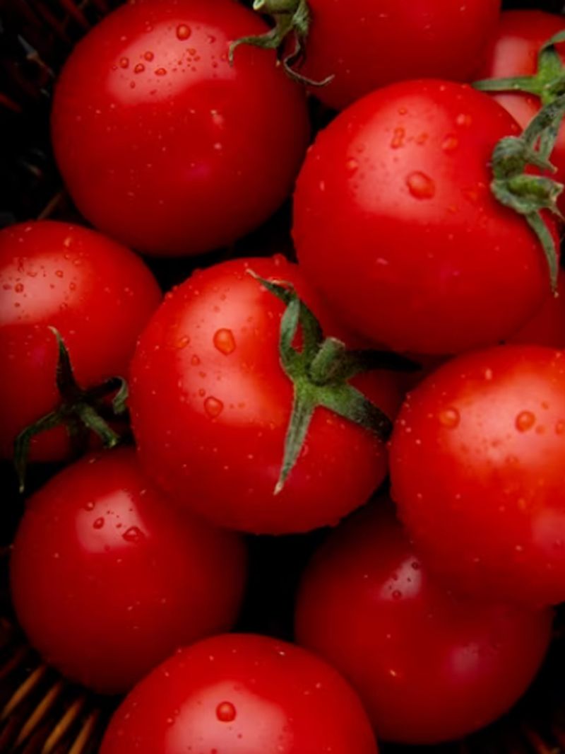 tomatoes prices reach rs 250 per kg in uttarakhand s uttarkashi ash