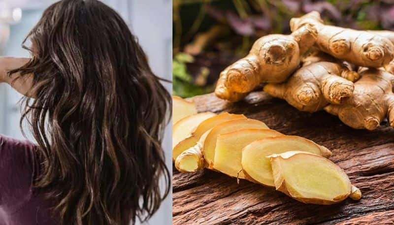 Benefits of Ginger for healthy hair azn