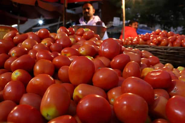 Has tomato price increased or decreased today in Koyambedu vegetable market KAK