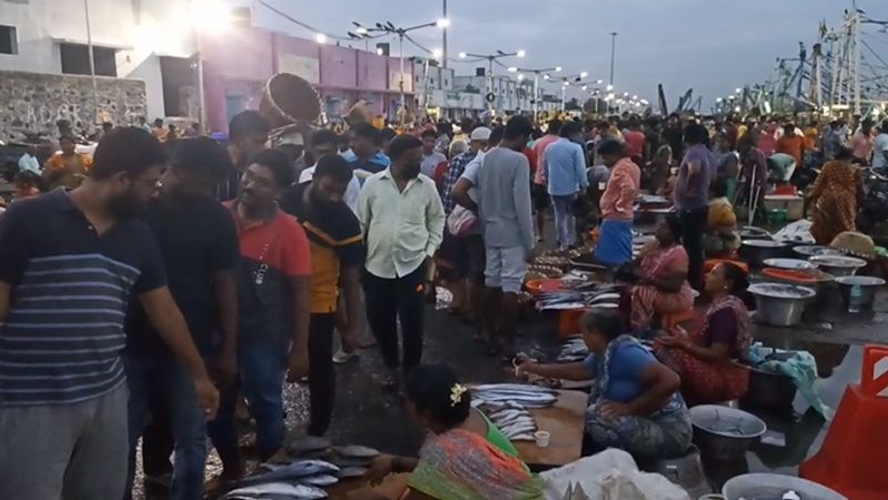 Crowd to buy fish early in the morning at kasimedu chennai