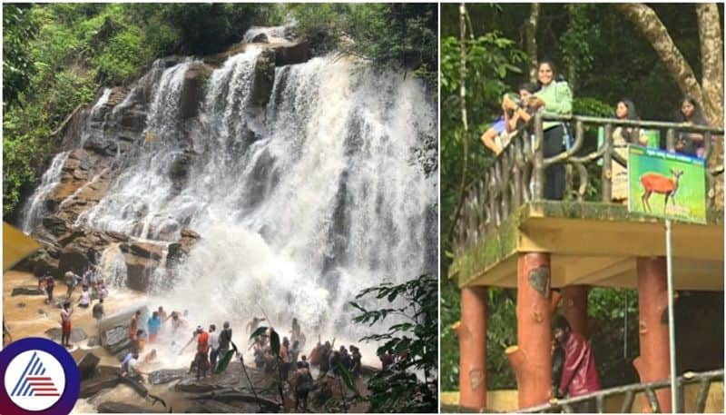 Karnataka Sirimane Falls is Tourist Paradise Best Place for One Day Trip sat