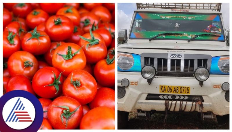 Bengaluru: Van carrying tomatoes worth Rs 2 lakh hijacked vkp