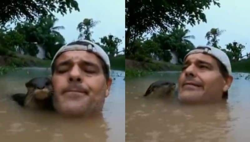 baby otter swims to man who is standing neck deep water hyp