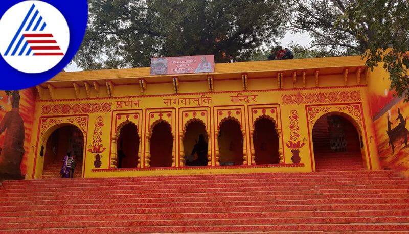 kaal sarp dosh nagraj vasuki temple Uttar Pradesh suh