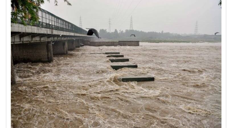 yamuna river