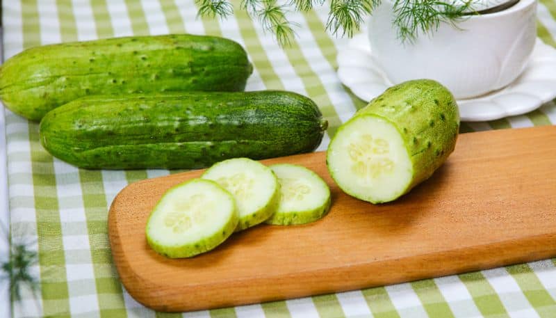 Nutrition benefits of cucumber you must know azn 