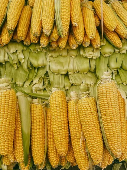 Steamed Corn