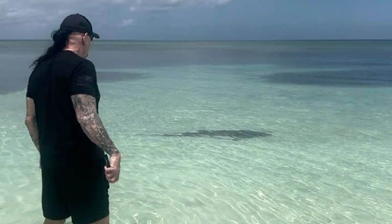 The Undertaker saves wife from possible shark attack Video goes viral kvn