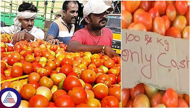 Tomato price hike Reason revealed another two months price will not decrease sat