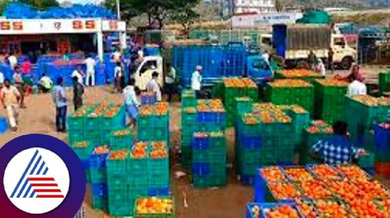 Crop failure: Tomato prices rise sharply at kolar rav