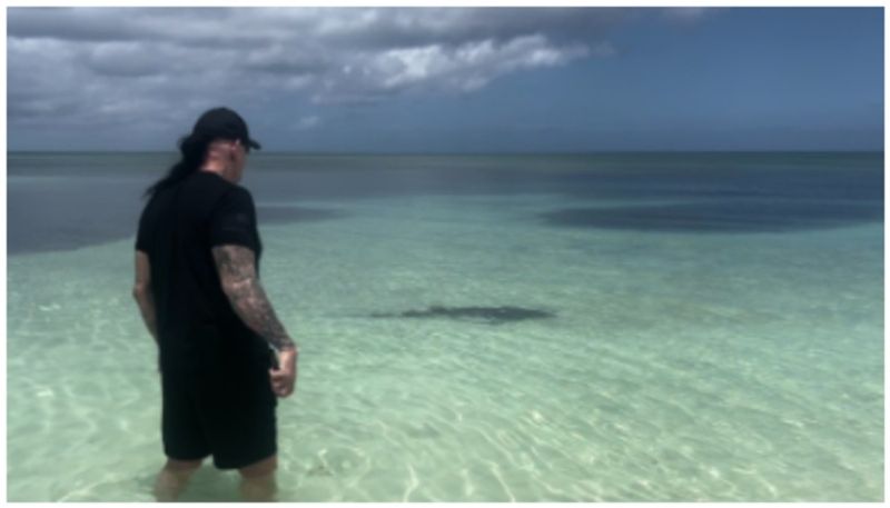 match between The Undertaker and The Shark Do you know the winner bkg 