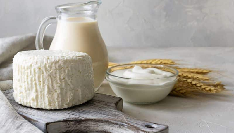 Here are 7 easy steps to make healthy curd at home ADC