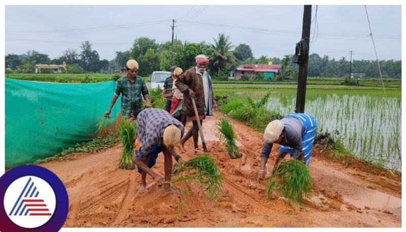 Udupi Student community involved in agriculture gow