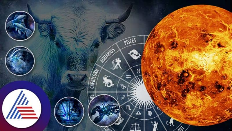 shukra vakri 2023 last week of july special for  Taurus  Libra  Scorpio signs including capricorn and pisces suh