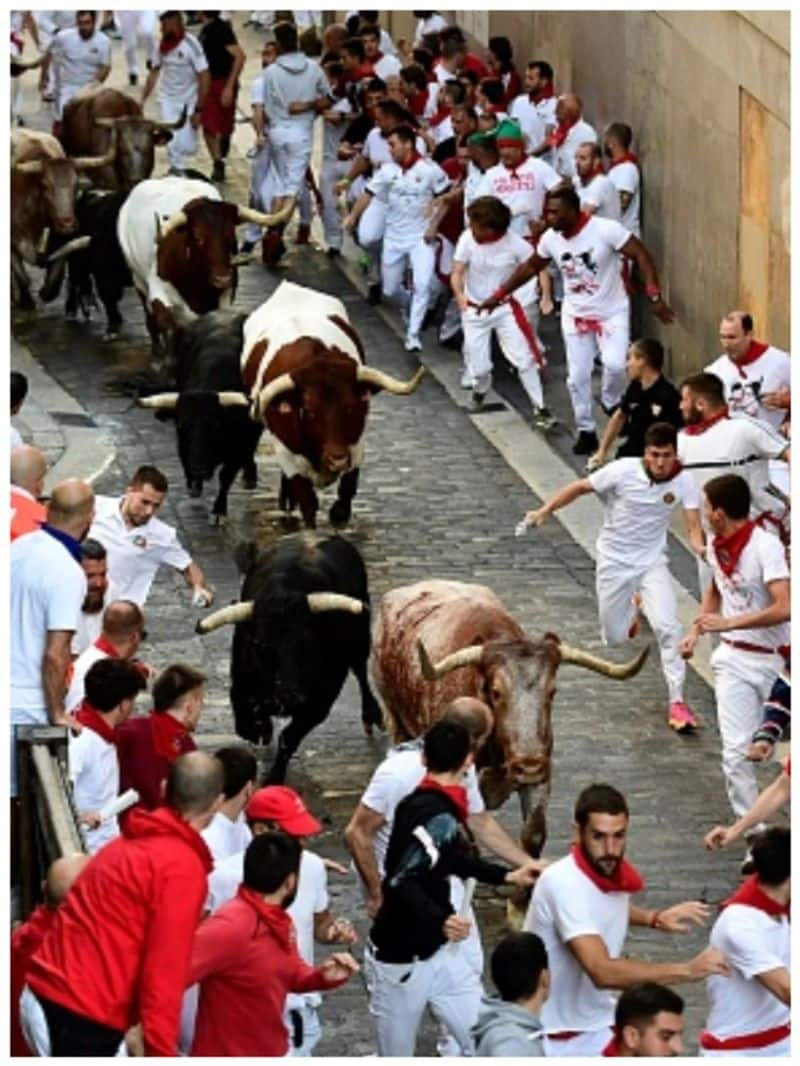 Spain Bullfighting festival san fermin bkg