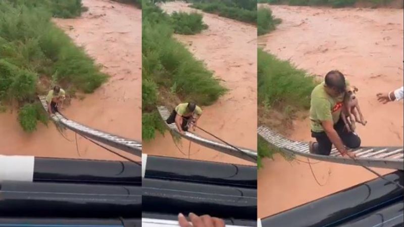 North India raining Youth rescues puppy from flood Video from Chandigarh goes viral akb