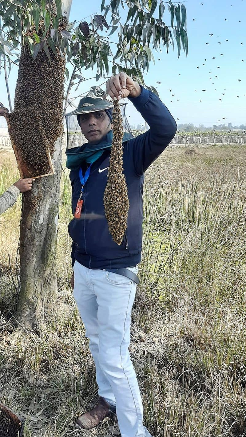 dr nitin singh successful beekeeping business in India iwh