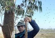 dr nitin singh successful beekeeping business in India iwh