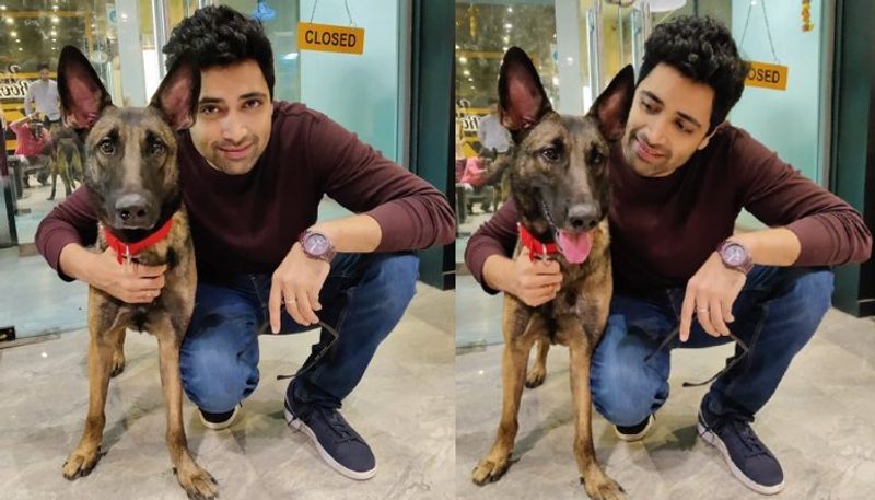 Hero Adivi Sesh Emotional post on Hit 2 movie dog dead NSK