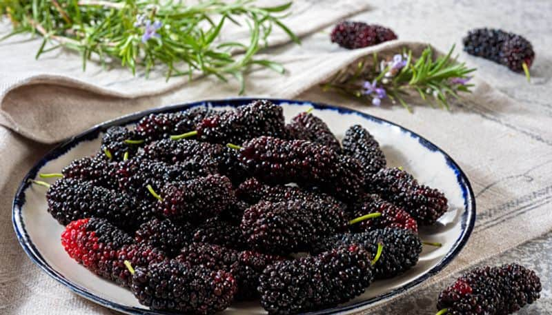 know the health benefits of mulberry azn 