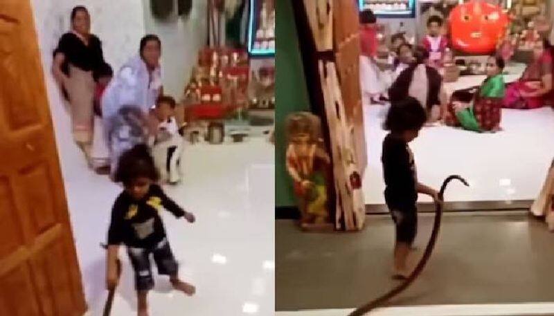 Toddler Plays With Snake At Home, VIDEO VIRAL  KRJ