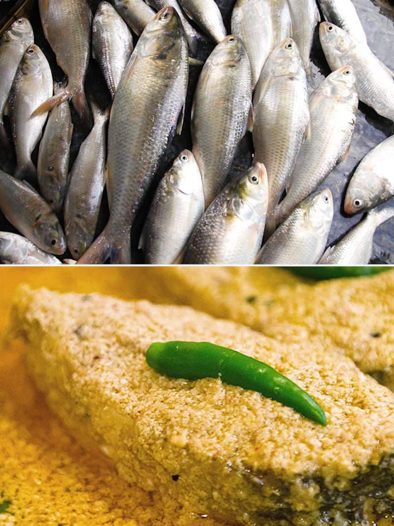 Ilish Bhapa to Paturi-7 Ilish dishes to enjoy in Monsoon  RBA EAI