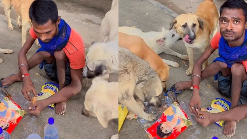 handicaped man Rich in Heart, give his all food to street dog watch heartfull video akb