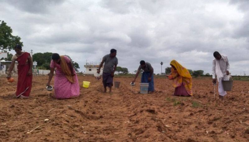 Farmers Faces Problems For Monsoon Rain Delay in Yadgir grg