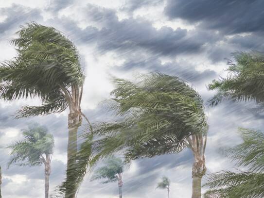 Cyclone Tej: 'Tej' which will become a severe storm tomorrow.. which states will it affect?..ISR