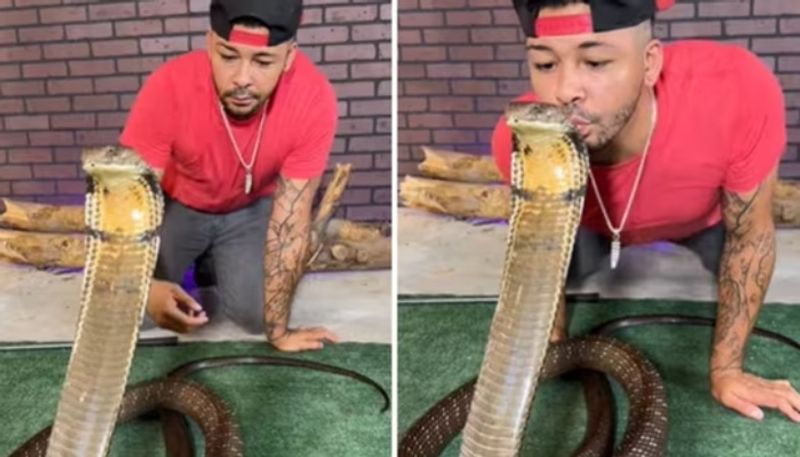 man kissing on the head of huge cobra hyp