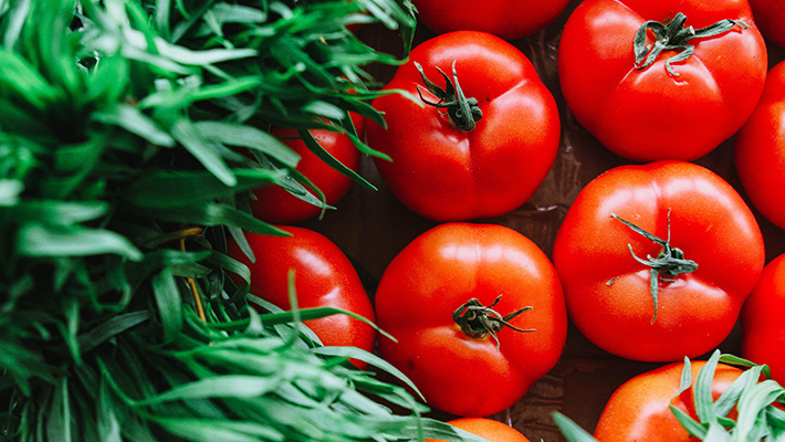 Tomato farmer gets Rs 1.8 crore in a month from selling tomato asd