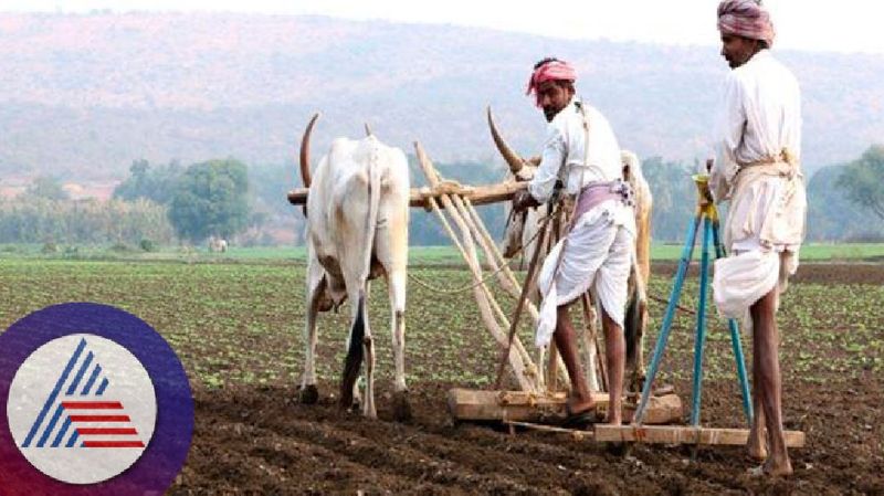 6 farmers committed suicide in one and a half months at dharwad rav