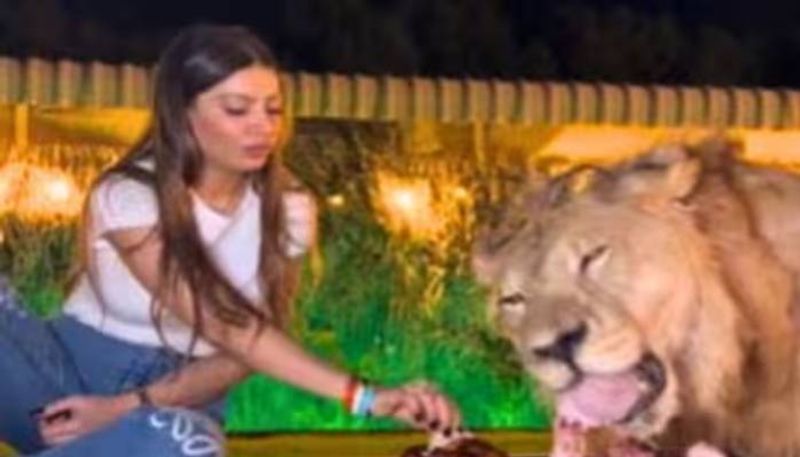 woman eating food with lion rlp