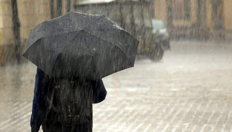 Tamil Nadu Weather Update: Chance of rain in 10 districts in next 3 hours