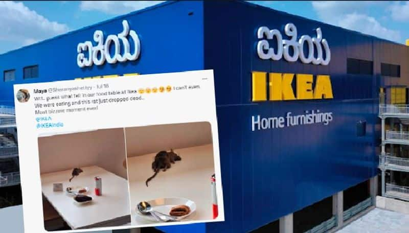 Bengaluru IKEA Apologises After Customers Viral Tweet Shows Dead Rat on Food Court Table Vin