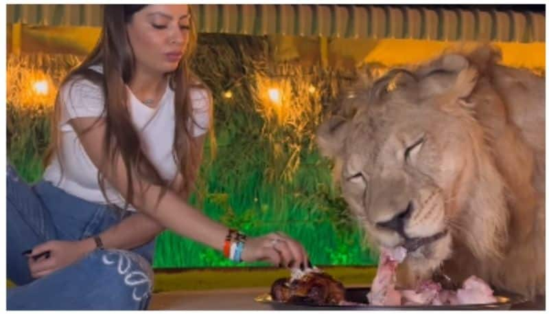 Viral video of Young woman and lion eating together from a plate bkg