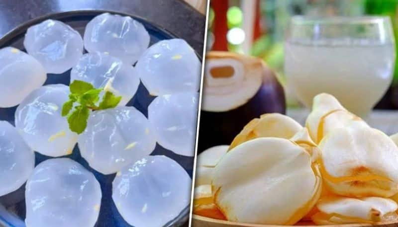 ice apple or nungu sarbath recipe in tamil and its benefits during summer mks