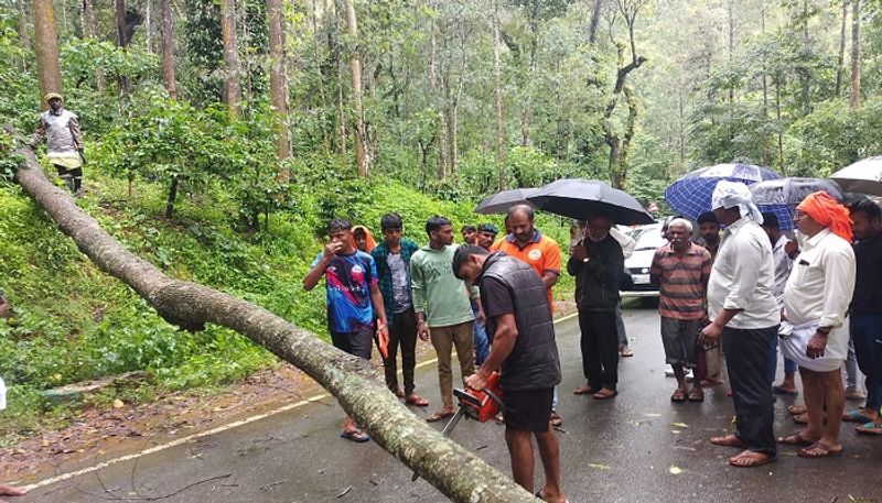 Old age Woman Dies Due to Rain Related Disaster in Chikkamagaluru  grg