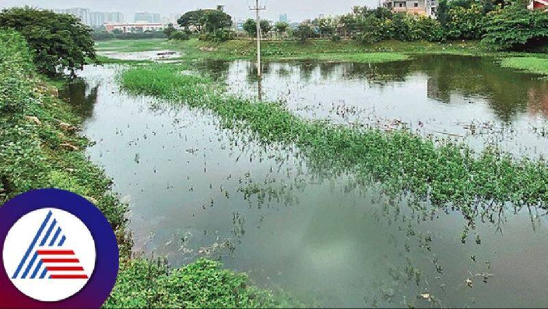 Bengaluru lake