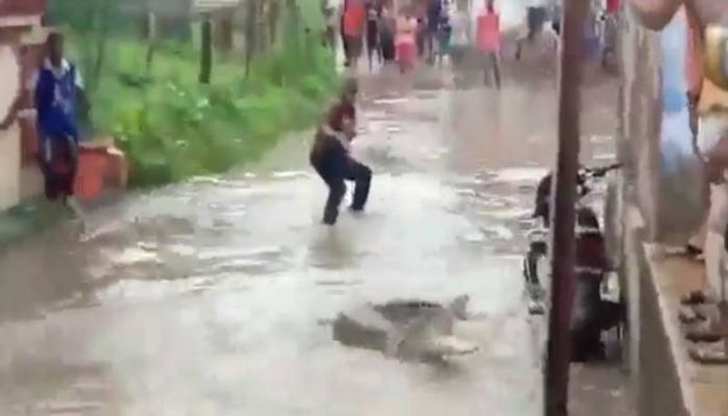 Haridwar Crocodiles Enter Residential Areas rlp