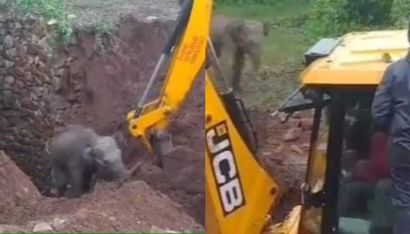 heartwarming video of rescuers saving an elephant calf from a open well -rse-