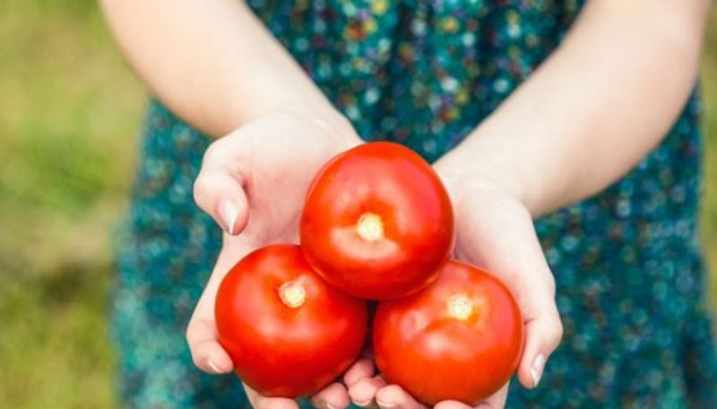 Daughter Brings 10 Kg Tomatoes For Mother azn 